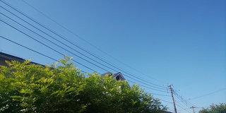 DSC_0776.JPG