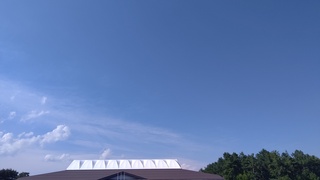 DSC_0809.JPG