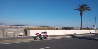 DSC_0920.JPG