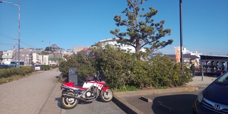 DSC_0951.JPG