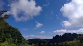 DSC_0969.JPG