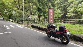DSC_1030~2.JPG